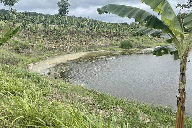 Ecuador Land Hectares Water Green